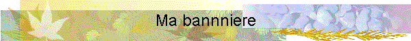 Ma bannniere