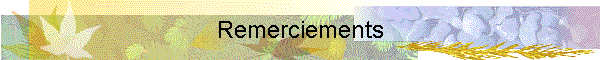 Remerciements