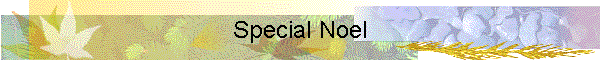 Special Noel